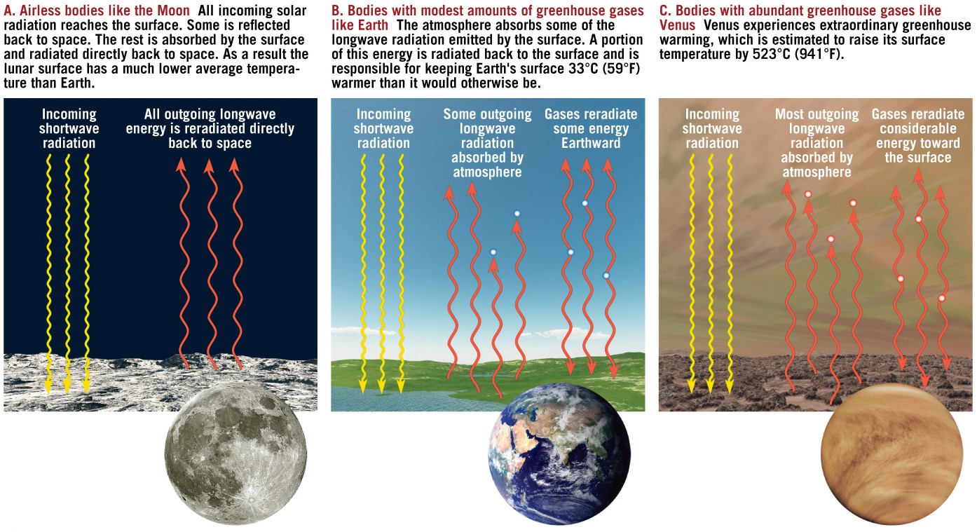 The Role of Gases in the Atmosphere