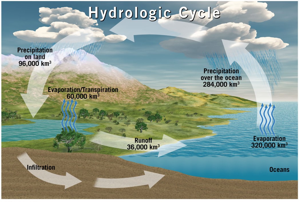 Hydrologic cycle