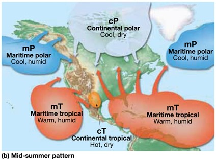 Mid-Summer Patterns 