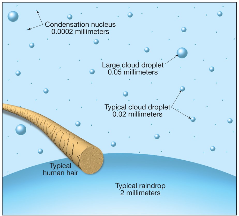 How Precipitation Forms