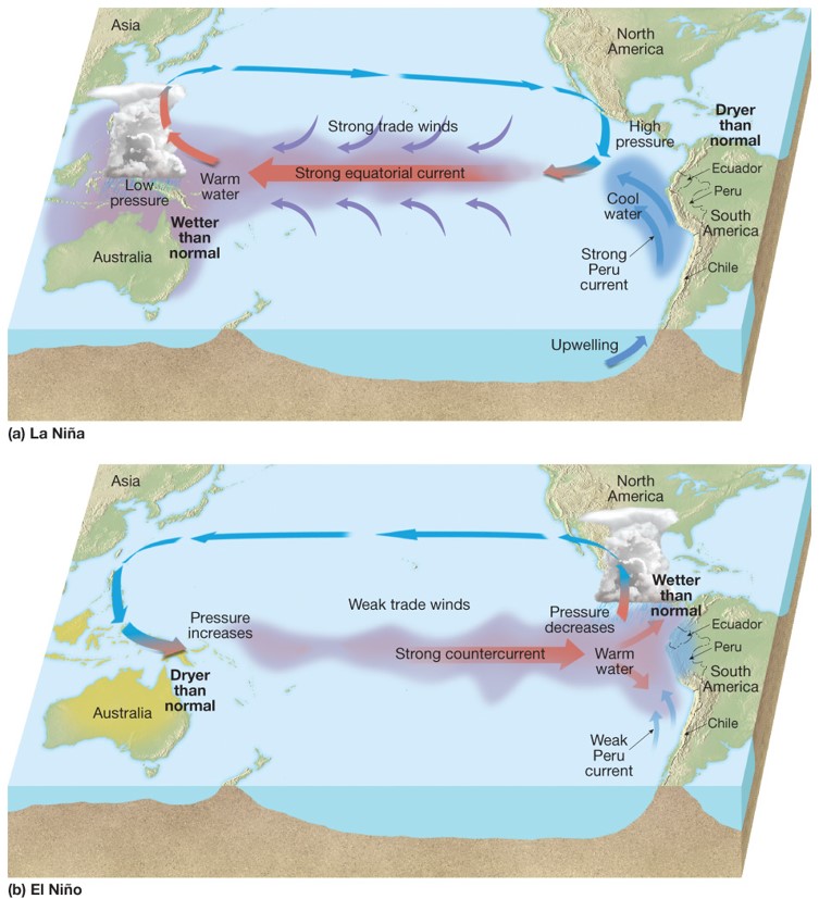 El Niño and La Niña and the Southern Ocean