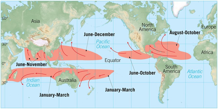 Profile of a Hurricane