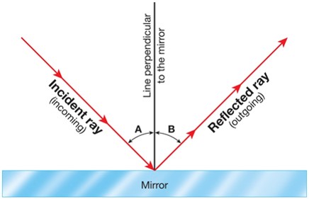 Interactions of Light and Matter 