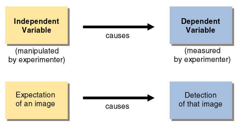 Independent and Dependent Variables