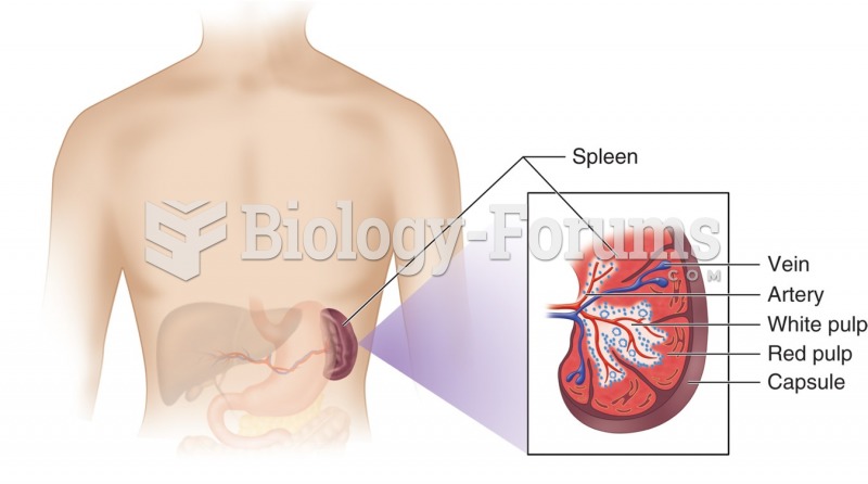 The spleen. Upper left side behide stomach