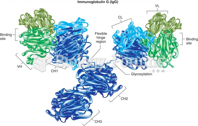 IgG: hinge, glycosylation, and domains.