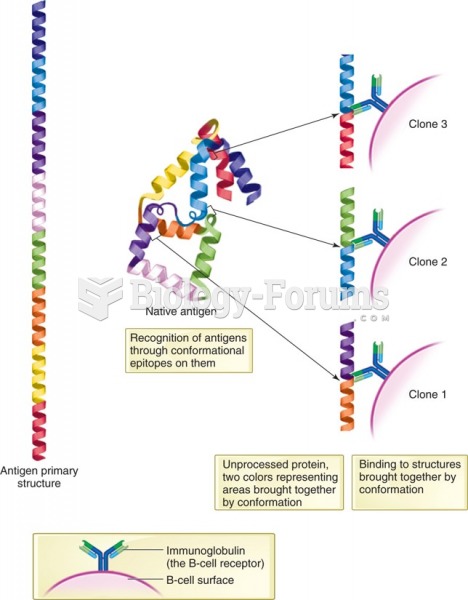 Recognition of conformational epitopes by B cells.