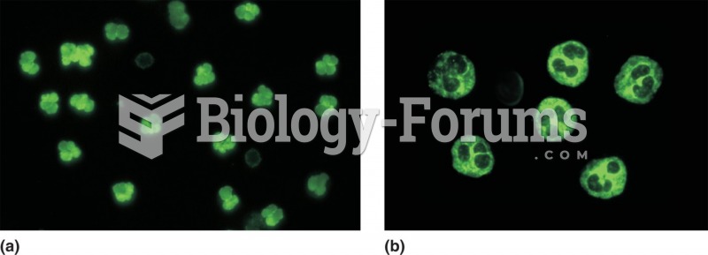 Antineutrophil cytoplasmic antibody staining patterns. Indirect immunofluorescence of ethanol-fixed ...