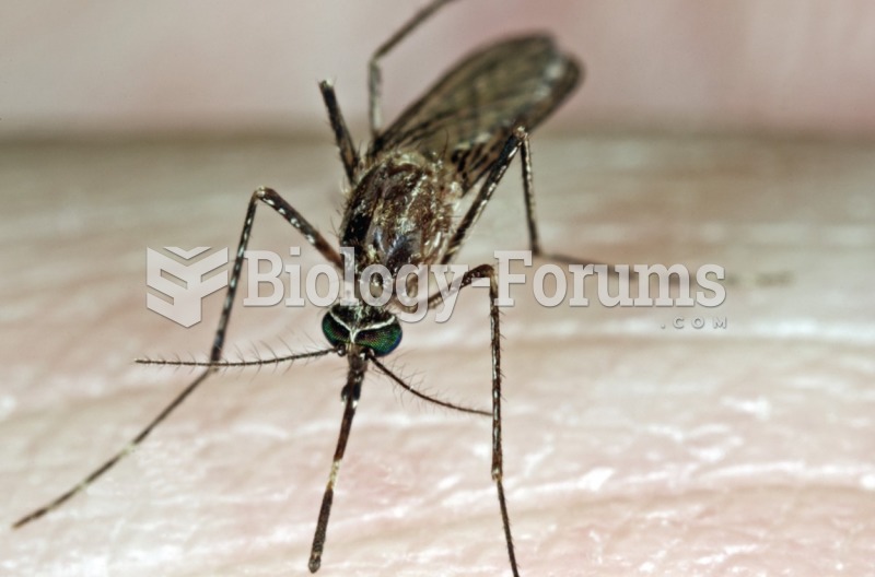 A culex tarsalis mosquito, a common vector of the spread of West Nile virus. 