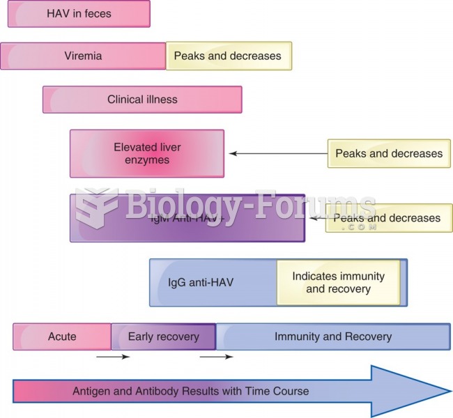 Levels of hepatitis A antigens and antibody after infection.