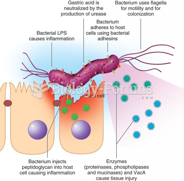 Schematic diagram of virulence factors of Helicobacter pylori.