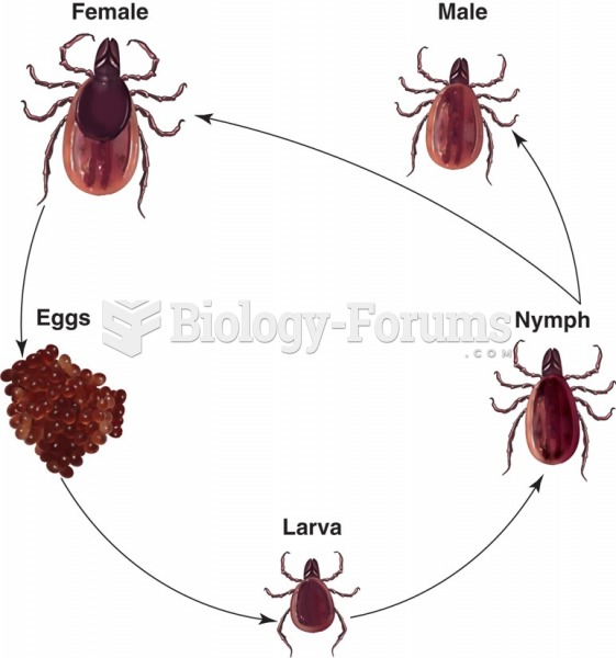 Typical life cycle of the tick family.
