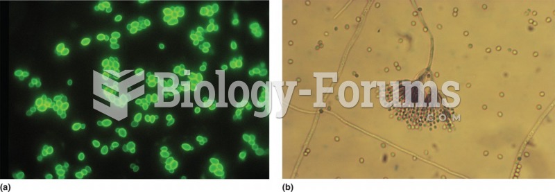 (a) Budding yeast cells (Candida albicans). (b) Mold from a penicillium fungus. 