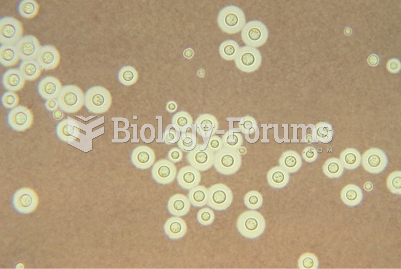 Cryptococcus neoformans with India ink stain. 