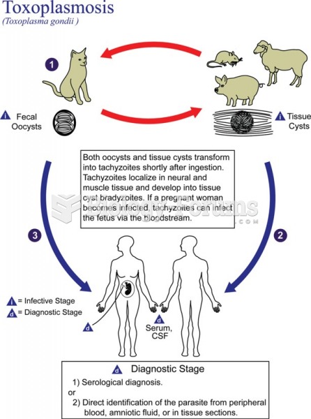 Life cycle of Toxoplasma. 