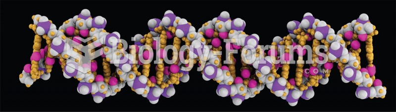 Three-dimensional model of DNA. 