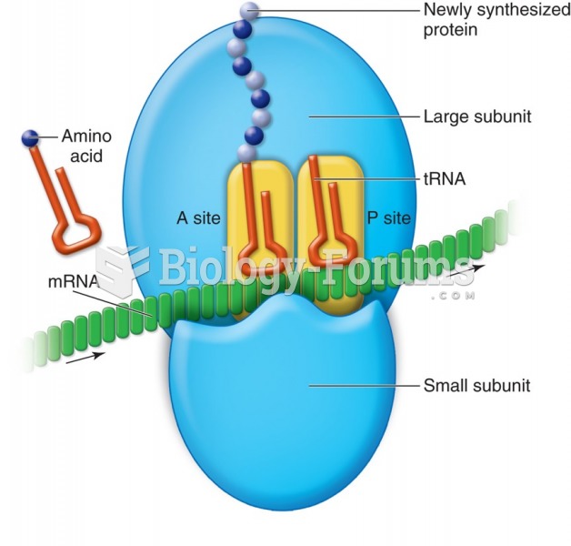 Diagram showing how the translation of the mRNA and the synthesis of proteins are carried out by the ...