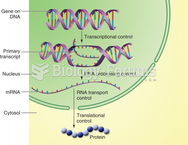 Sequence of events from DNA to protein.