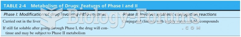 Metabolism of Drugs: Features of Phase I and II 