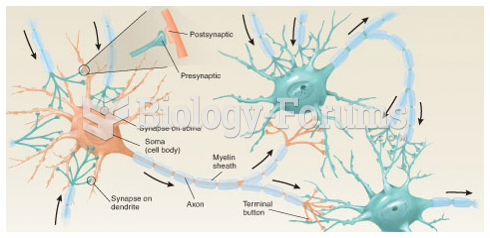 The Basic Parts of a Neuron