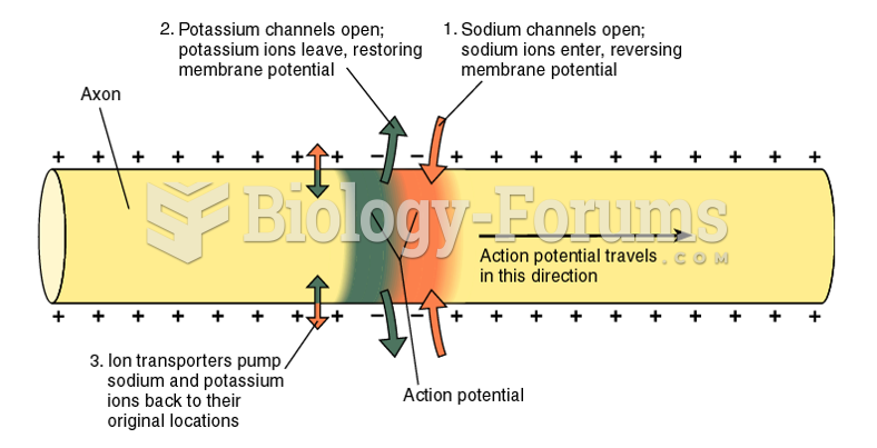 Movement of Sodium and Potassium Ions During the Action Potential