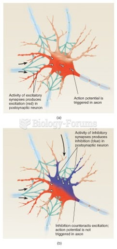 Interaction Between the Effects of Excitatory and Inhibitory Synapses