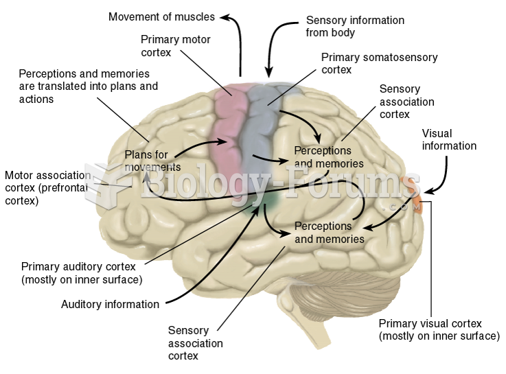 Organization of the Cerebral Cortex