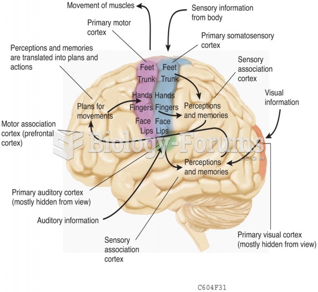 Organization of the Cerebral Cortex