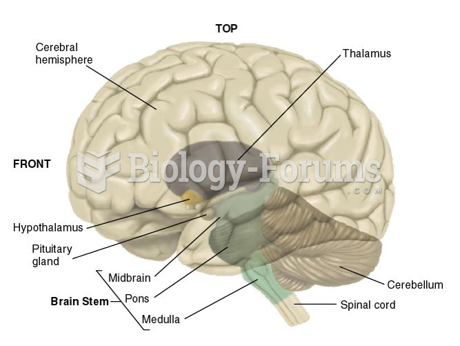 The Brain Stem and Cerebellum