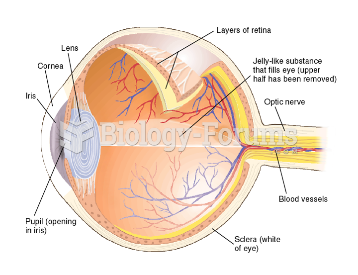 The Eye and Its Functions