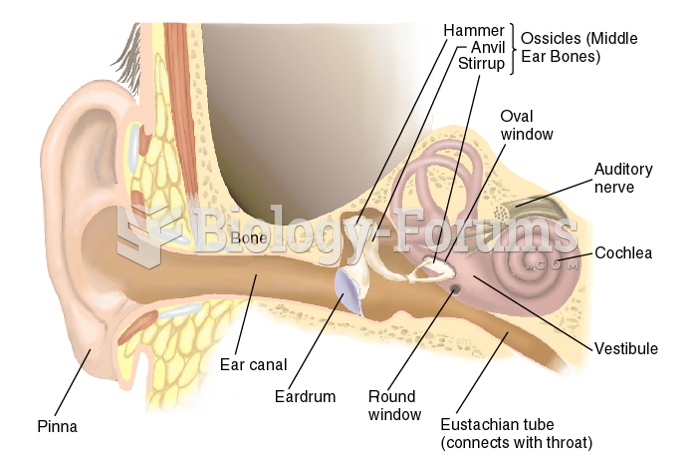 The Ear and Its Functions