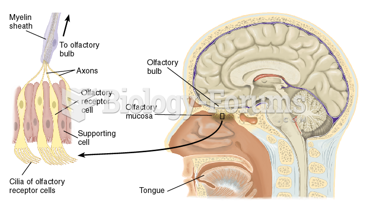 The Olfactory System