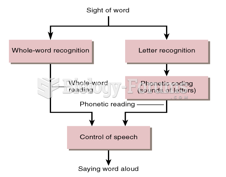 Phonetic and Whole-Word  Recognition