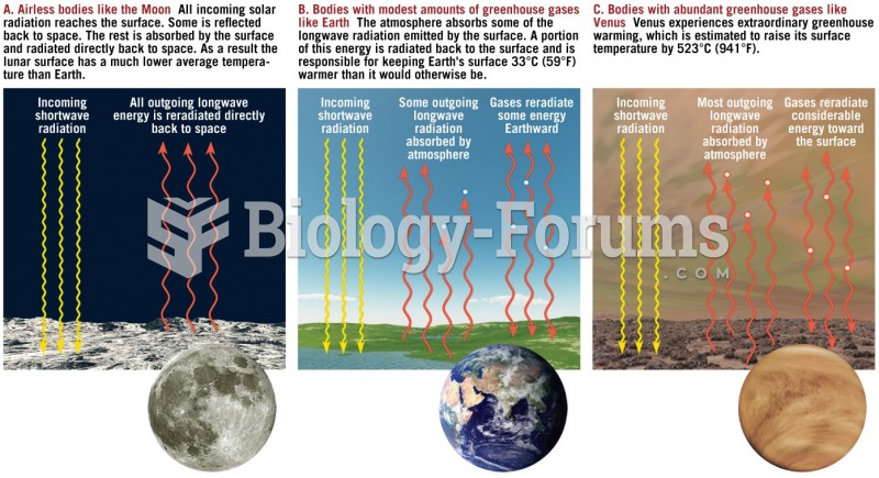 The Role of Gases in the Atmosphere