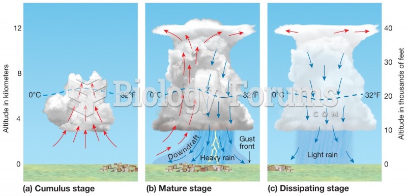 Air-mass thunderstorms—mT air masses