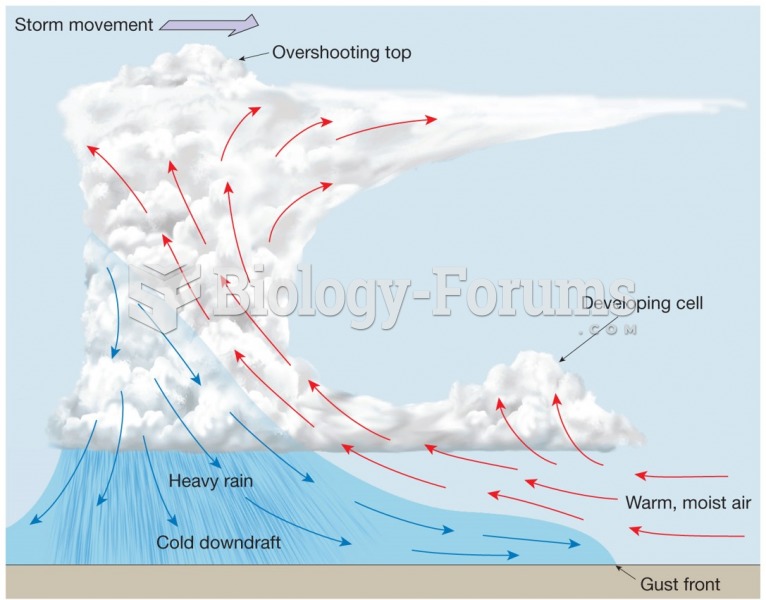 Air-Mass Thunderstorms