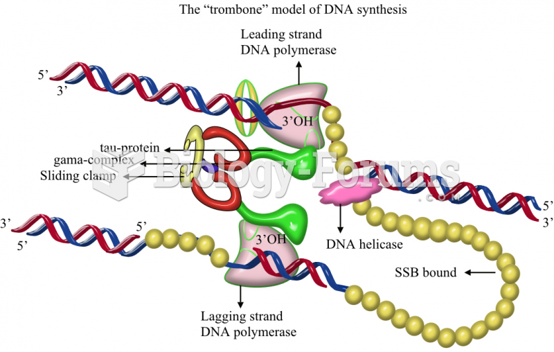 Trombone Model of DNA