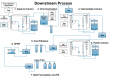 Downstream Process - Inoculum Preparation &amp; Expansion