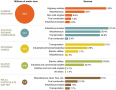 Atmospheric Pollutants