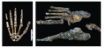 Fossils of hand and foot bones of Homo naledi
