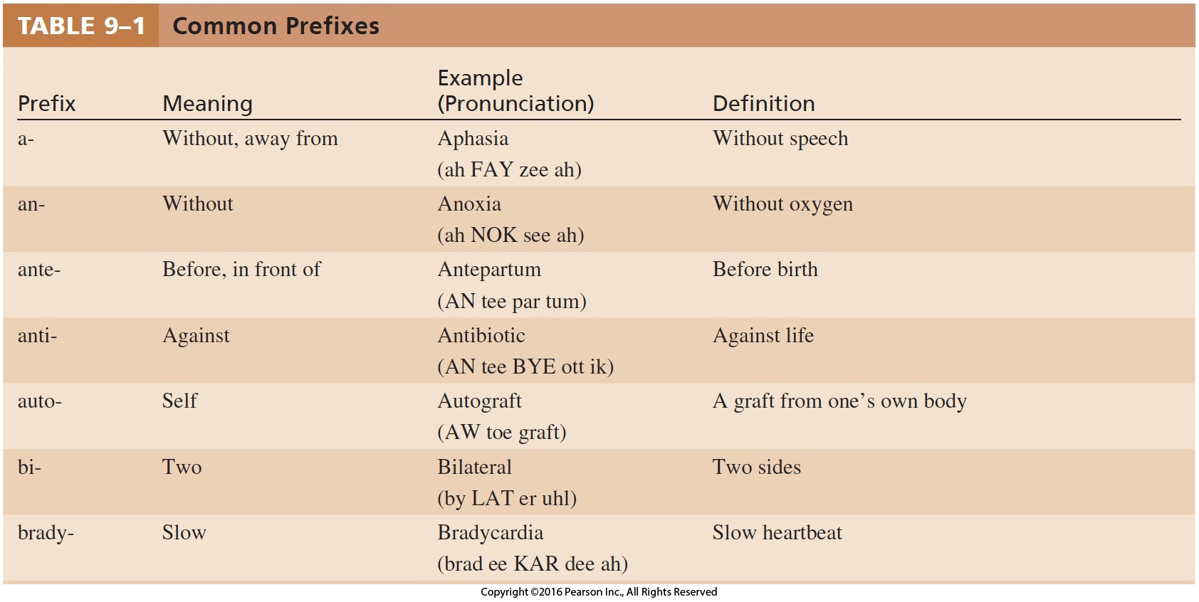 Common Prefixes