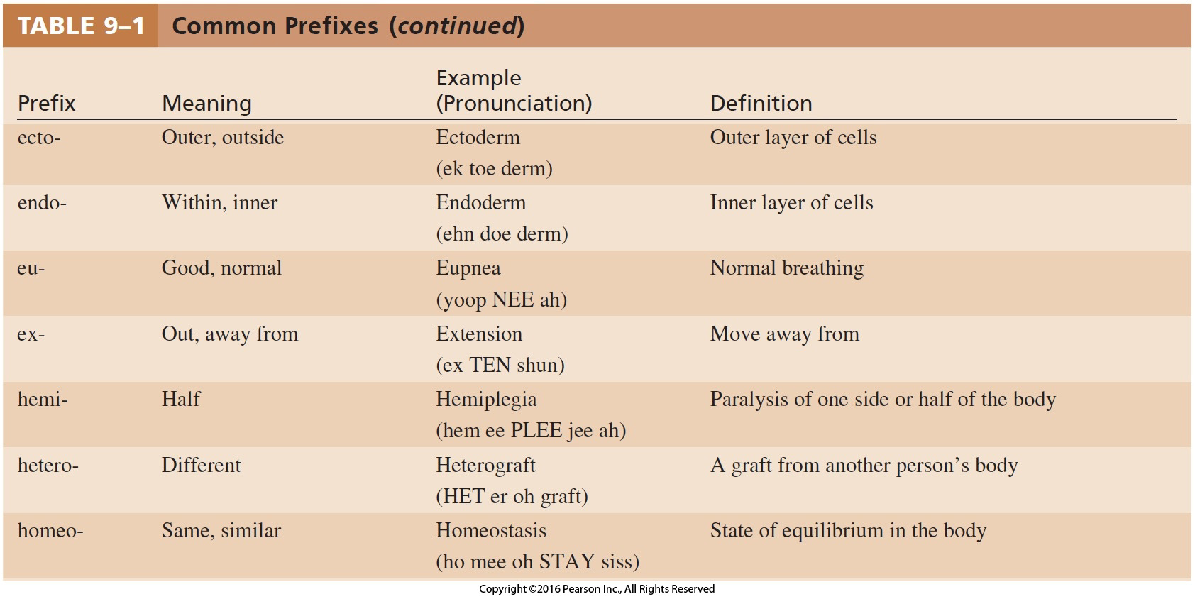 Common Prefixes Cont