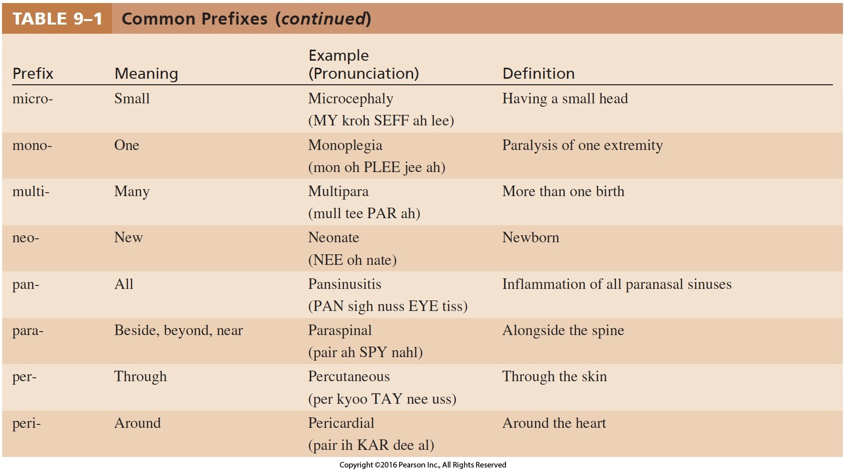 Common Prefixes Cont.