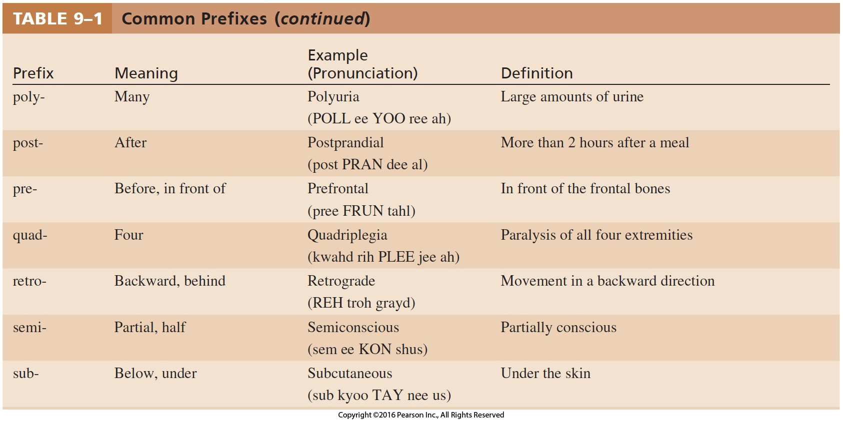 Common Prefixes Cont.