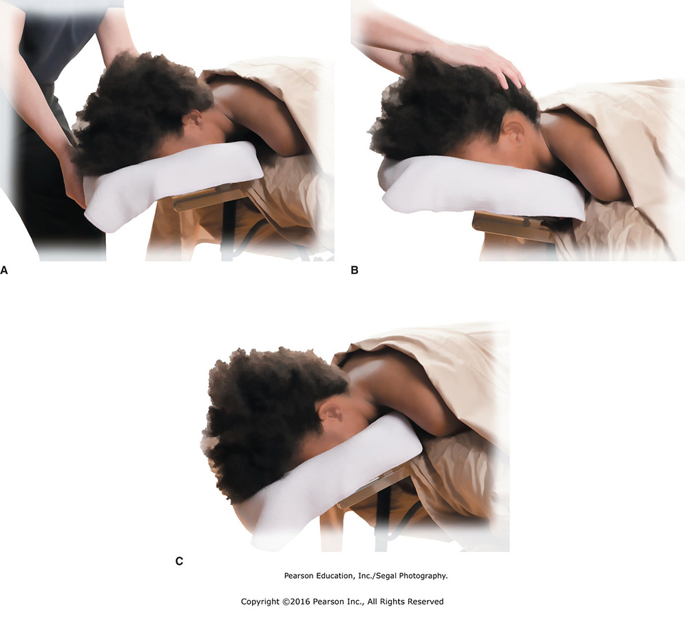 Positioning the face cradle. A. Neck in proper alignment. B. Avoid hyperextension. C. Avoid too much ...