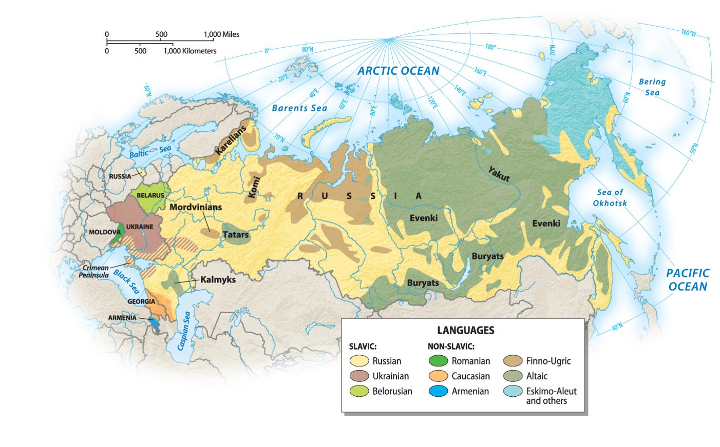 Languages of the Russian Domain