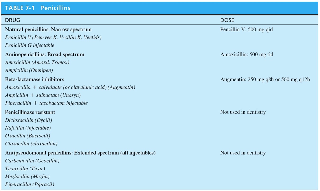 Penicillins 