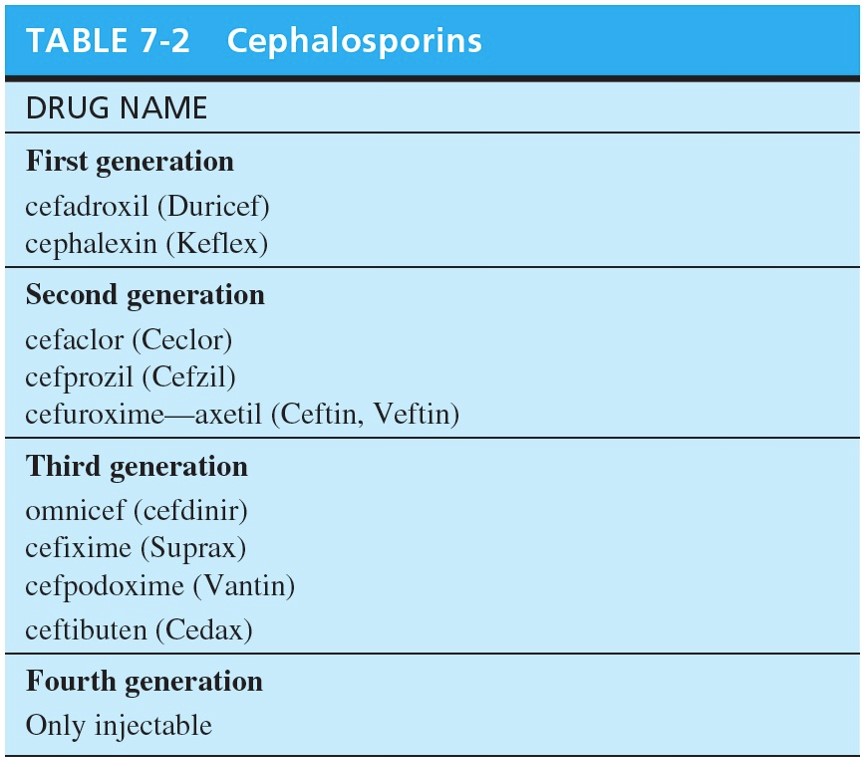 Cephalosporins 