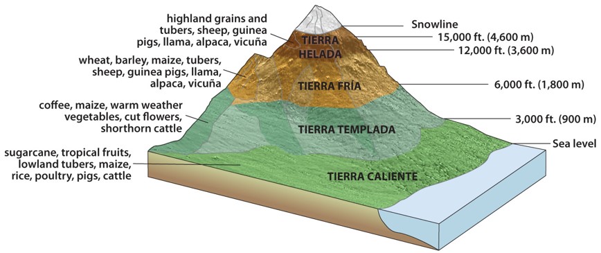 Altitudinal Zonation and El Niño