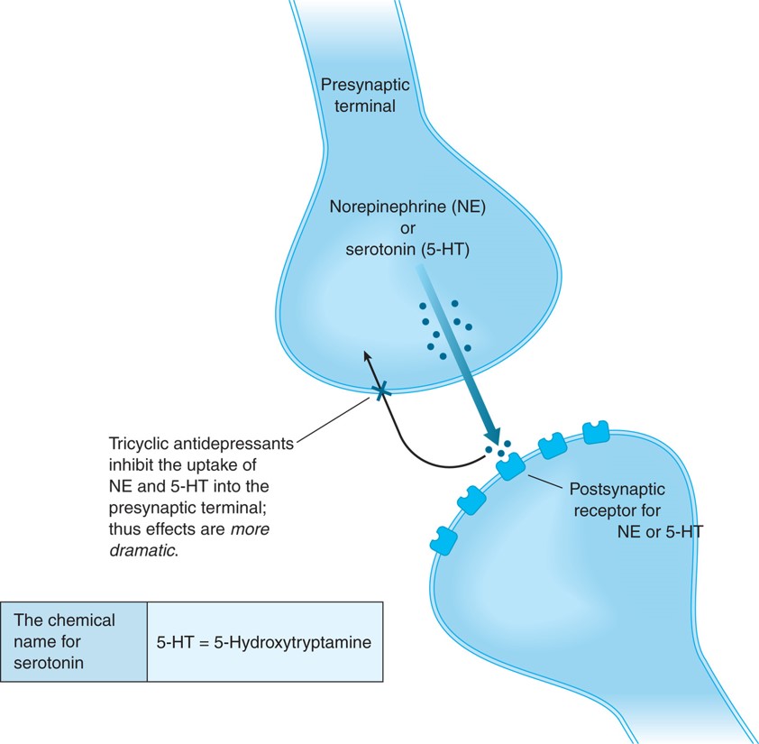 Tricyclic antidepressants produce their effects by inhibiting the reuptake of neurotransmitters ...